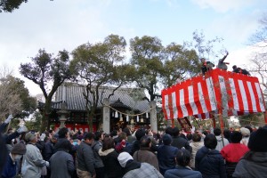 DSC09990